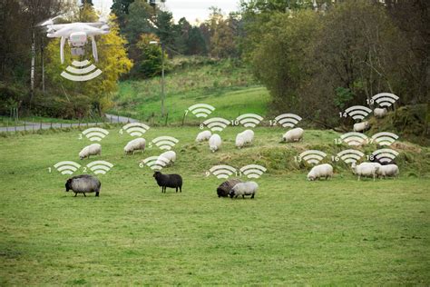 rfid monitoring in agriculture